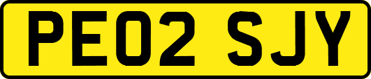 PE02SJY