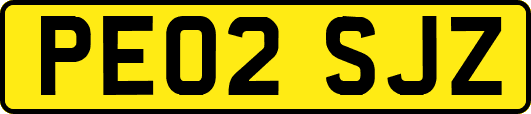 PE02SJZ