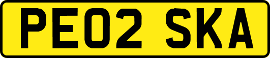 PE02SKA