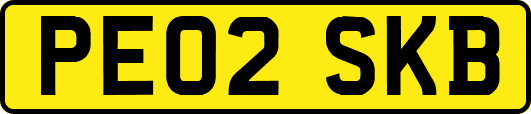 PE02SKB