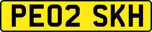 PE02SKH