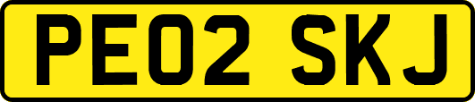 PE02SKJ