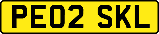 PE02SKL