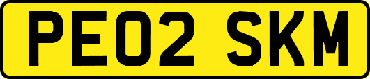 PE02SKM