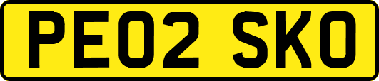 PE02SKO