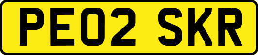 PE02SKR