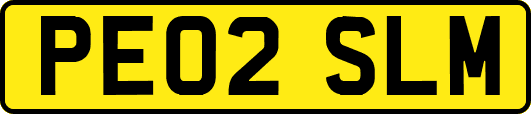 PE02SLM