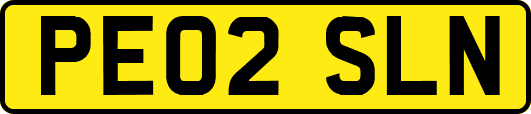PE02SLN