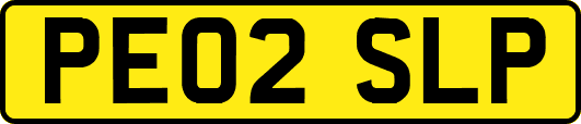 PE02SLP