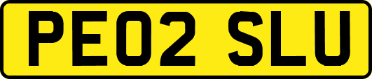 PE02SLU