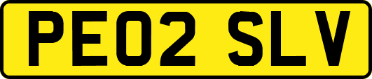 PE02SLV