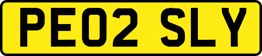 PE02SLY