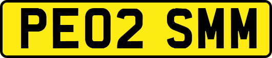 PE02SMM