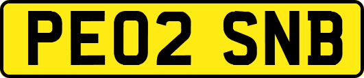 PE02SNB
