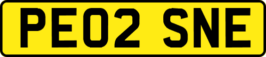 PE02SNE