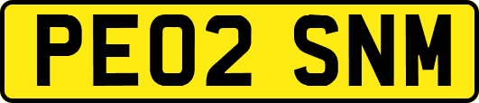 PE02SNM