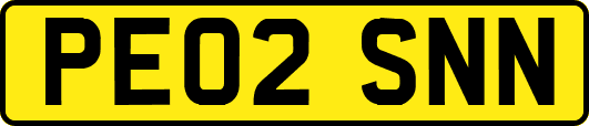 PE02SNN
