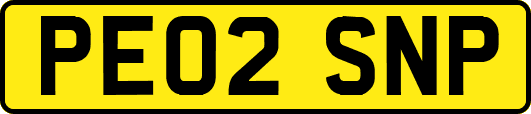 PE02SNP