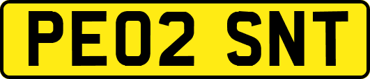 PE02SNT