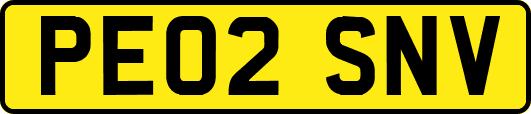 PE02SNV