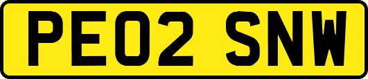PE02SNW