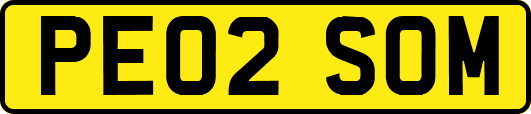 PE02SOM
