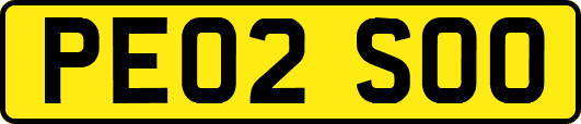 PE02SOO