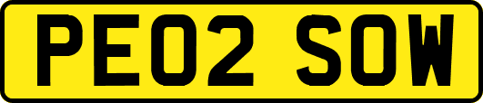PE02SOW