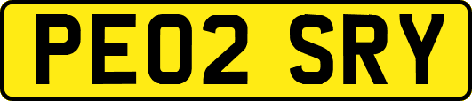 PE02SRY