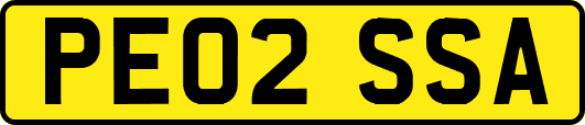 PE02SSA