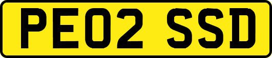 PE02SSD