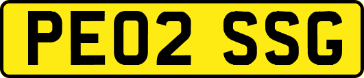 PE02SSG