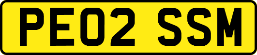 PE02SSM