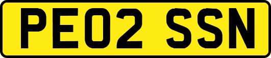 PE02SSN