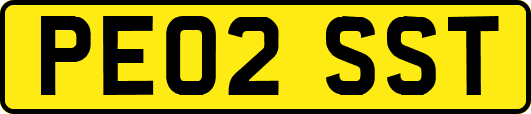 PE02SST