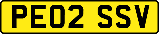 PE02SSV