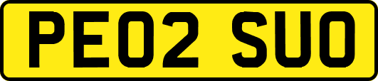 PE02SUO