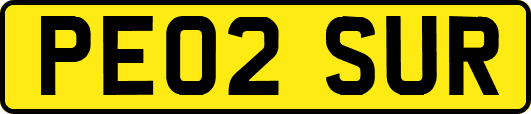 PE02SUR