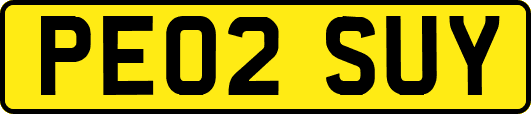 PE02SUY