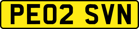 PE02SVN