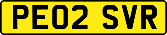 PE02SVR