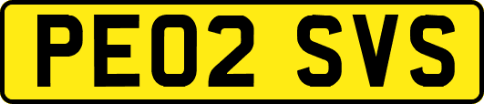 PE02SVS
