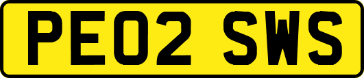 PE02SWS