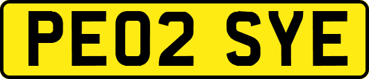 PE02SYE