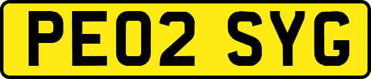 PE02SYG