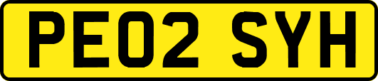 PE02SYH