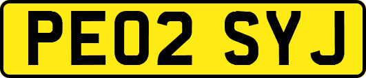 PE02SYJ