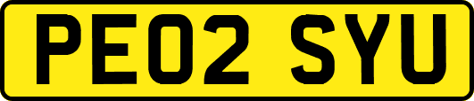 PE02SYU