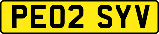 PE02SYV