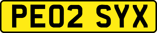 PE02SYX